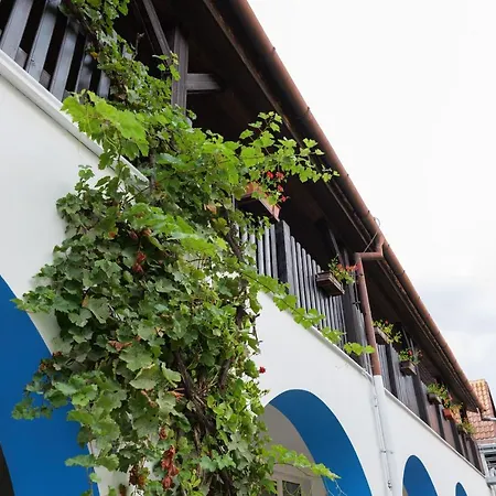 Penzion Posada Pensionat