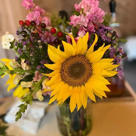 Penzion Posada Podivin