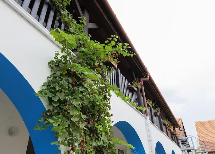 Penzion Posada Pensionat