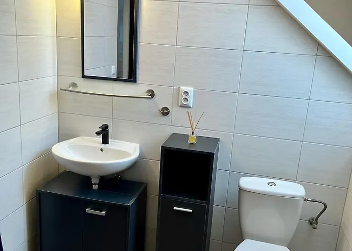 Penzion Posada Pensionat 4*