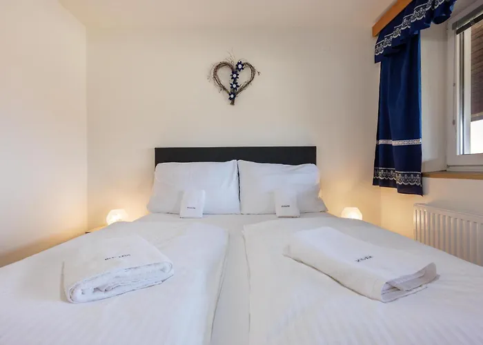 Penzion Posada Pensionat 4*